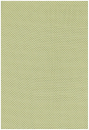 F.Nouveau Ikat Green